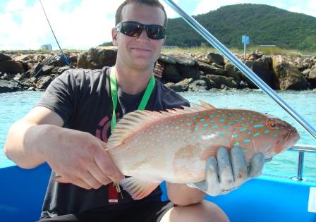 Hamilton Island coral trout